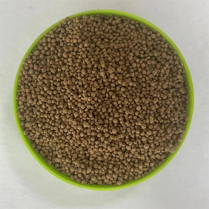 Thrush Bird food