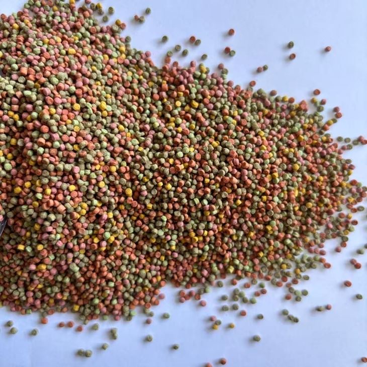 wild Parrot Bird pellet