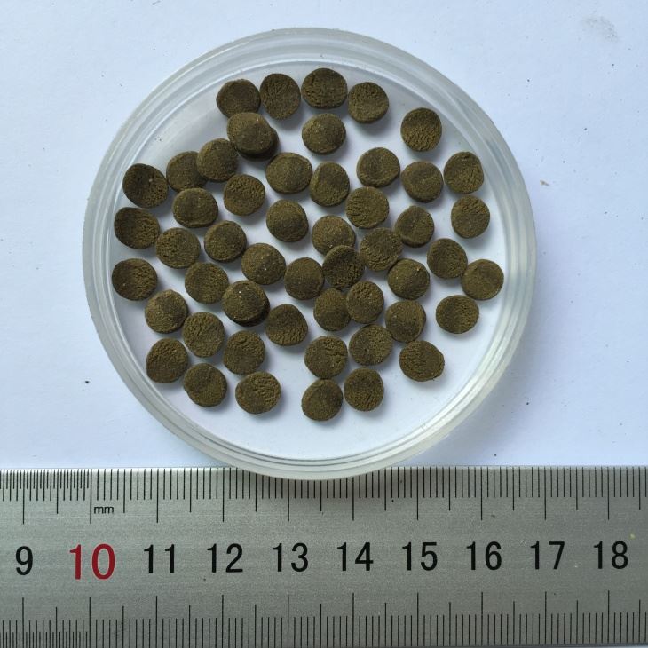 pleco wafers for shrimp